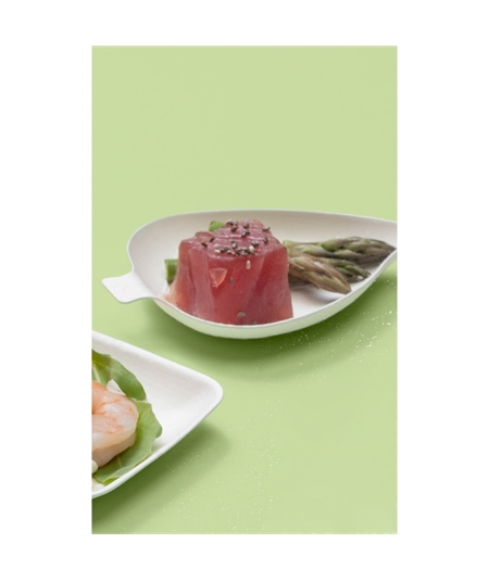 mini-piattino-fogliabianco-jungle-green-addicted-pulp-25-pz-9x7-cm-jp55001