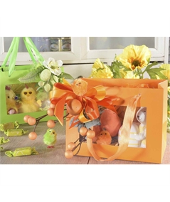 Ingrosso-buste-sacchetti-confezioni-regalo_121850_E