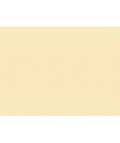 Tovaglietta americana in carta paglia colorata 30x40 cm - 250 pz