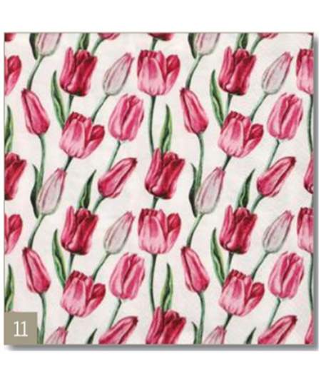 tulipani
