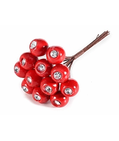 ingrosso-bacche-diamantino-chiudipacco_544582_2