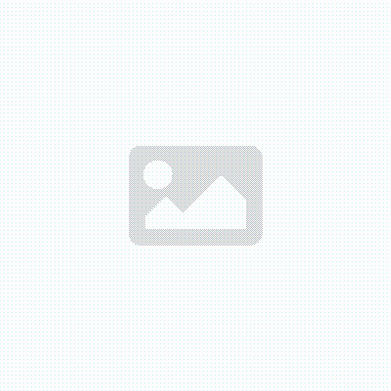 SHOPPER CENTER SRL